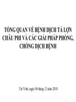 TỔNG QUAN VỀ BỆNH DỊCH TẢ LỢN CHÂU PHI VÀ CÁC GIẢI PHÁP PHÒNG, CHỐNG DỊCH BỆNH của Chi Cục Thú y