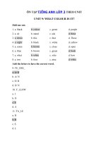 Tải Ôn tập tiếng Anh lớp 3 Unit 9 What colour is it? - Bài tập tiếng Anh 3 theo từng Unit có đáp án