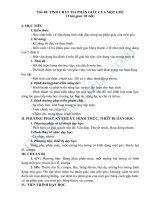 đáp án module 1 môn toán thcs