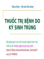 THUỐC TRỊ BỆNH DO ký SINH TRÙNG pptx _ HÓA DƯỢC (slide nhìn biến dạng, tải về đẹp lung linh)