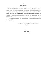 Các yếu tố ảnh hưởng đến ý định mua sắm mặt hàng nội y cao cấp của người tiêu dùng tại thành phố hồ chí minh 