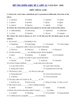 Tải Đề thi giữa kì 1 lớp 11 môn tiếng Anh năm 2020 - Đề thi tiếng Anh lớp 11 giữa học kì 1 có đáp án