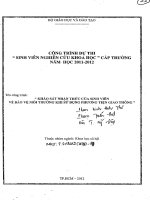 khảo sát nhận thức của sinh viên về bảo vệ môi trường khi sử dụng phương tiện giao thông 
