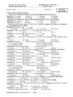 Đề kiểm tra 1 tiết môn tiếng anh lớp 11 trường thpt đào duy từ lần 1 | Tiếng Anh, Lớp 11 - Ôn Luyện