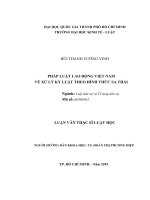 Pháp luật lao động việt nam về xử lý kỷ luật theo hình thức sa thải 