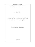 (Luận án tiến sĩ) nghiên cứu xử lý ảnh spect tim trong hỗ trợ chẩn đoán bệnh động mạch vành 