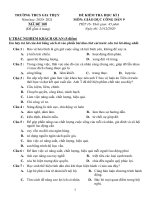 Đề thi học kì 1 môn GDCD 9 năm 2020-2021 - Trường THCS Gia Thụy