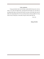 Đề xuất các giải pháp nâng cao hiệu quả kinh doanh cho công ty trách nhiệm hữu hạn một thành viên cảng quảng ninh  