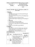 Mẫu giáo án môn Hoạt động trải nghiệm mô đun 2 Tiểu học