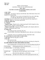 Giáo án Công nghệ 8 theo công văn 5512