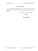 Phân tích hoạt động thanh tra thuế và giải pháp hoàn thiện công tác thanh tra thuế đối với doanh nghiệp trên địa bàn tỉnh nghệ an  