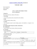 Tải Giáo án tiếng Anh lớp 11 Tuần 13 sách mới - Giáo án điện tử môn tiếng Anh 11 theo tuần