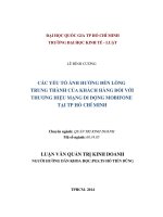 Các yếu tố ảnh hưởng đến lòng trung thành của khách hàng đối với thuongư hiệu mạng di động mobifone tại TP HCM 