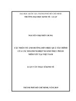 Các nhân tố ảnh hưởng đến hiệu quả tài chính của các doanh nghiệp ngành thực phẩm niêm yết tại việt nam 