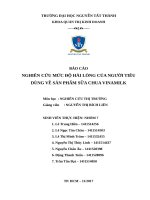 NCTT NGHIÊN cứu mức độ hài LÒNG của NGƯỜI TIÊU DÙNG với sản PHẨM sữa CHUA VINAMILK 