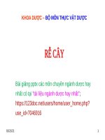 RỄ pptx _ THỰC VẬT DƯỢC (slide nhìn biến dạng, tải về đẹp lung linh)