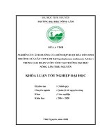 (Khóa luận tốt nghiệp) nghiên cứu ảnh hưởng của hỗn hợp ruột bầu đến sinh trưởng của cây con lim xẹt (peltophorum tonkinensis a chev) trong giai đoạn vườn ươm tại trường đại học nông lâm thái nguyên