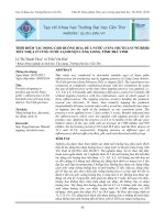 THỜI ĐIỂM TÁC ĐỘNG CHO BUỒNG HOA DỪA NƯỚC (NYPA FRUTICANS WURMB) TIẾT NHỰA Ở VÙNG NƯỚC LỢ HUYỆN CÀNG LONG, TỈNH TRÀ VINH