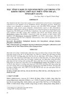 ĐẶC TÍNH VI KHUẨN NỘI SINH PHÂN LẬP TRONG CÂY KHÓM TRỒNG TRÊN ĐẤT PHÈN VĨNH THUẬN, TỈNH KIÊN GIANG