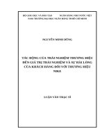 Trải nghiệm thương hiệu đến giá trị trải nghiệm và sự hài lòng của khách hàng đối với thương hiệu nike 