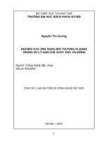Luận án tiến sĩ nghiên cứu ứng dụng môi trường plasma trong xử lý hạn chế cháy cho vải bông (tt) 