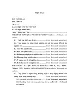 Hoàn thiện kiểm soát nội bộ hoạt động thanh toán tại Ngân hàng TMCP đầu tư và phát triển Việt Nam chi nhánh Vĩnh Phúc