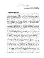 Những khó khăn trong nhận thức các sự kiện lịch sử của học sinh dân tộc thiểu số trường THPT Mỏ Trạng (Yên Thế - Bắc Giang)