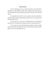 Pháp luật bảo vệ quyền lợi người tiêu dùng trong giao dịch thương mại điện tử 