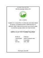 (Khóa luận tốt nghiệp) nghiên cứu ảnh hưởng của nồng độ chất kích thích ra rễ IBA (axit indolbutylic) đến sự hình thành cây hom dây thìa canh (gymnema sylvestre (retz ) r  br  ex schult) tại trường đại học nông lâm thái nguyên