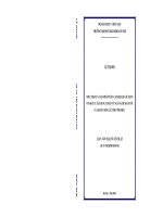 Thực trạng và giải pháp nâng cao hiệu quả sử dụng vốn đầu tư xây dựng cơ bản từ ngân sách nhà nước của huyện sông lô, tỉnh vĩnh phúc  