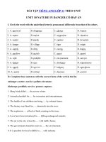 Tải Bài tập tiếng Anh lớp 11 Unit 10 Nature in danger có đáp án - Tiếng Anh 11 Unit 10 Nature in danger| Bài tập Unit 10 tiếng Anh lớp 11 có đáp án