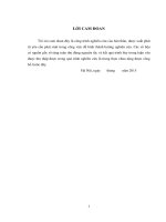 Phân tích và đề xuất giải pháp nâng cao chất lượng dịch vụ bán hàng của cn công ty tnhh metro cash  carry việt nam tại hà nội 