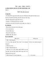 Tải Giáo án Nhà trẻ (24 - 36 tháng): Hoa đào và hoa mai - Giáo án điện tử mầm non lớp Nhà trẻ
