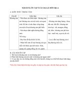 Đề cương ôn tập môn Địa lí lớp 6 tuần 20,21,22