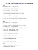 Tải Bài tập tự luận Tiếng Anh lớp 9 Unit 6 The Environment - Ôn tập Tiếng Anh lớp 9 theo từng Unit