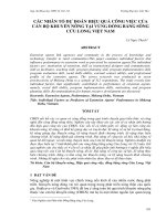 CÁC NHÂN TỐ DỰ ĐOÁN HIỆU QUẢ CÔNG VIỆC CỦA CÁN BỘ KHUYẾN NÔNG TẠI VÙNG ĐỒNG BẰNG SÔNG CỬU LONG, VIỆT NAM