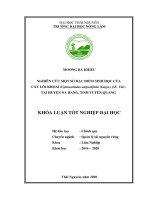 (Khóa luận tốt nghiệp) Nghiên cứu một số đặc điểm sinh học của cây Lôi Khoai (Gymnocladus angustifolia (Gagn.) J.E. Vid.) tại huyện Na Hang, tỉnh Tuyên Quang