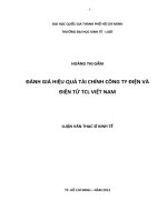 Đánh giá hiệu quả tài chính công ty điện và điện tử TCL việt nam 