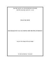 Bảo hộ quyền tác giả trong môi trường internet 