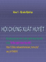 HỘI CHỨNG XUẤT HUYẾT ppt _ BỆNH HỌC