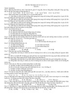 Đề kiểm tra học kỳ 2 môn vật lý lớp 11 mã 01 | Vật Lý, Lớp 11 - Ôn Luyện