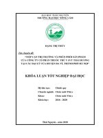 Tiếp cận thị trường và phân phối sản phẩm của Công ty cổ phần thuốc thú y SVT Thái Dương tại các đại lý của huyện Ba Vì, thành phố Hà Nội (Khóa luận tốt nghiệp)