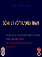 BỆNH vỏ THƯỢNG THẬN ppt _ BỆNH HỌC