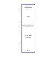 Hoạch định chiến lược kinh doanh tới năm 2020 cho công ty cổ phần may sông hồng 