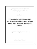 Tiền tố và hậu tố của nhận diện thương hiệu nghiên cứu thực nghiệm thương hiệu điện thoại di động tại TP HCM 