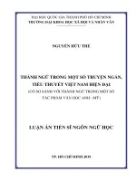 Thành ngữ trong một số truyện ngắn, tiểu thuyết việt nam hiện đại (có so sánh với thành ngữ trong một số tác phẩm văn học anh   mỹ) 
