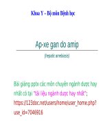 APXE GAN DO AMIP ppt _ BỆNH HỌC