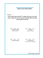 Tối ưu khối lượng chai PET từ phân tích ứng xử của chai dưới tác động của các lực đến quá trình thổi phôi chai bằng phương pháp mô phỏng 