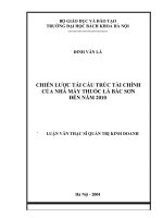 Chiến lược tái cấu trúc tài chính của nhà máy thuốc lá bắc sơn đến năm 2010 