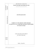 Nghiên cứu tổng hợp dầu nhờn sinh học, sử dụng xúc tác cacbon hóa mao quản trung bình từ nguồn vỏ trấu 
